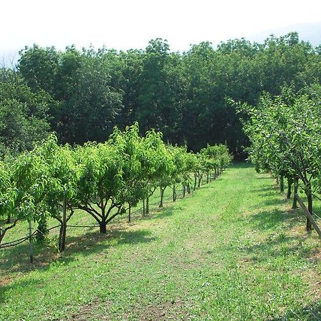 Bed and Breakfast Santa Brigida Pinerolo Exterior foto